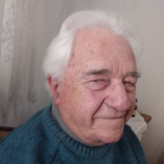 Prof. Dr. Harald Malschitzky